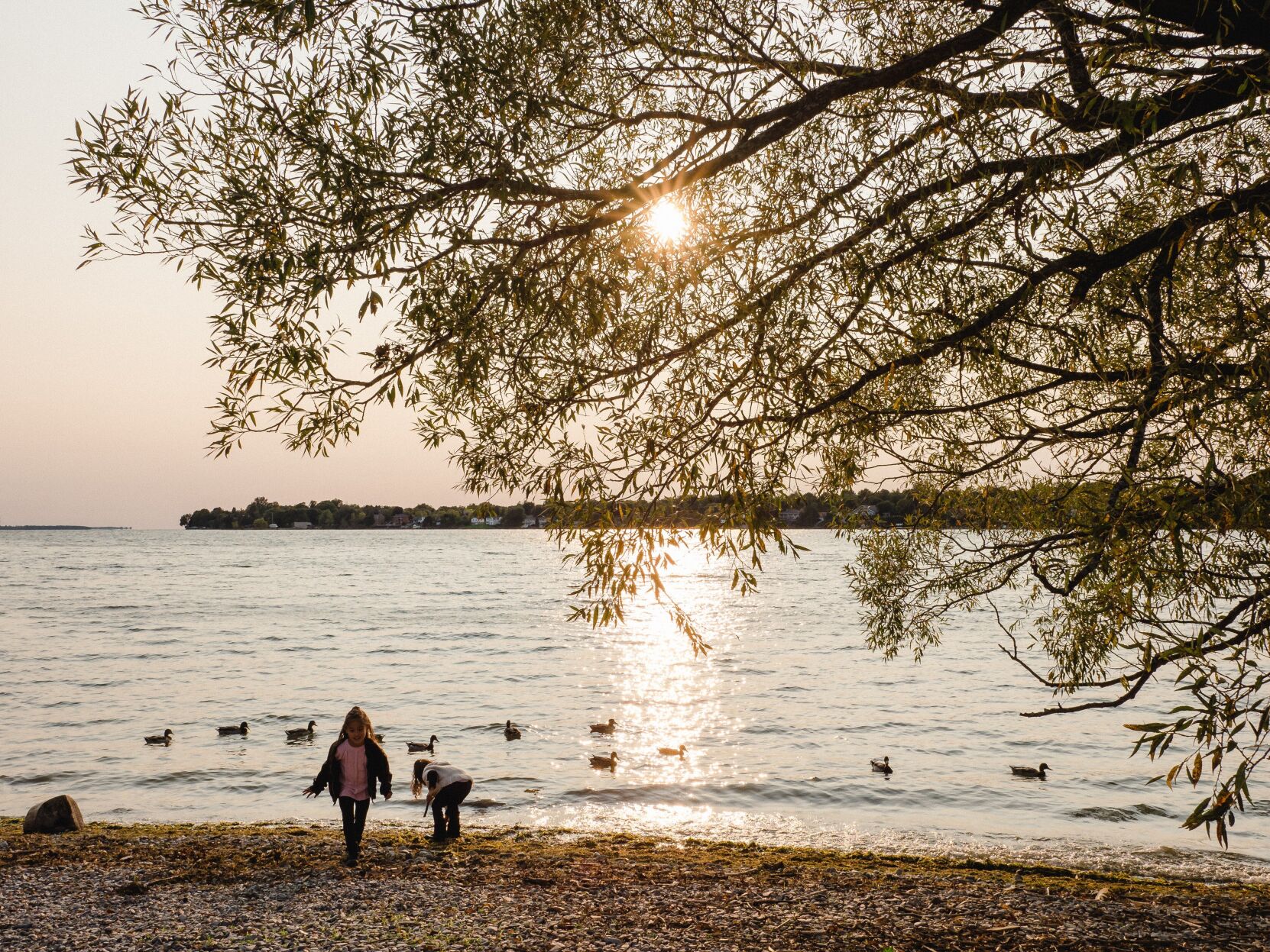 Lemoine Point Conservation Area at Dusk - Visit Kingston.jpg